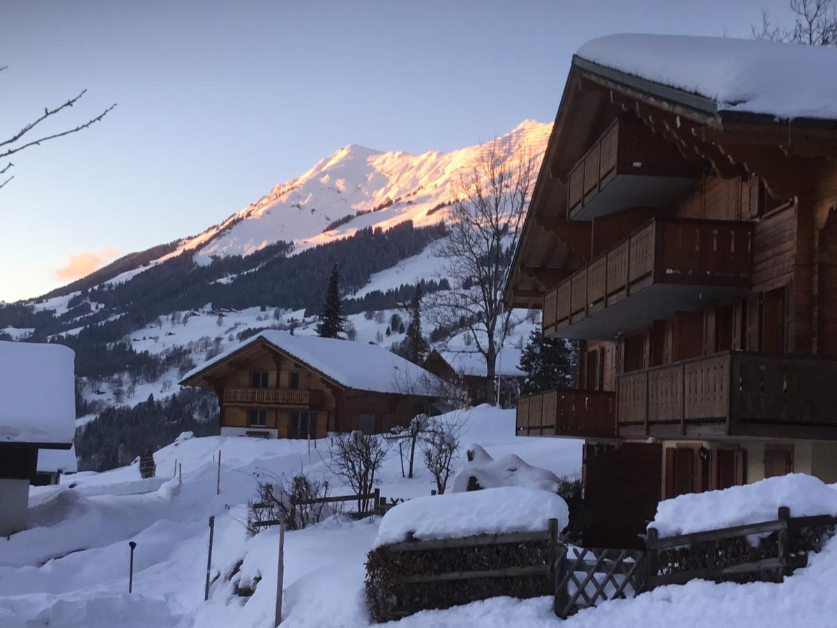 Le Sapin Apartman Les Diablerets Kültér fotó